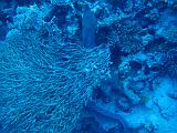 2009-12-05 14-41-40S
